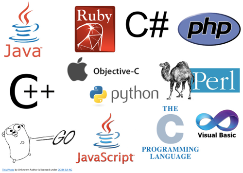 Why You Should Learn a Programming Language and How to Get Started